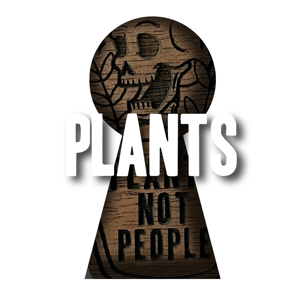 Plants
