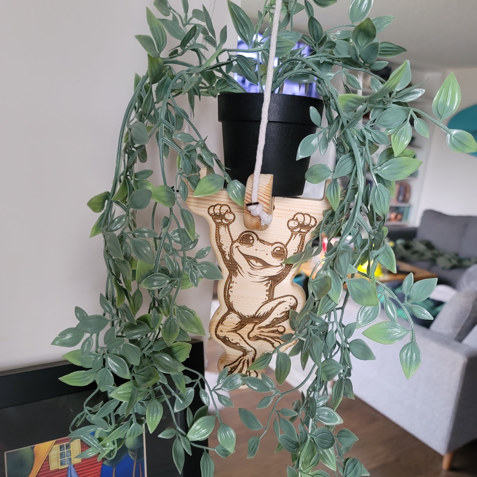 Hanging Frog wooden plant holder