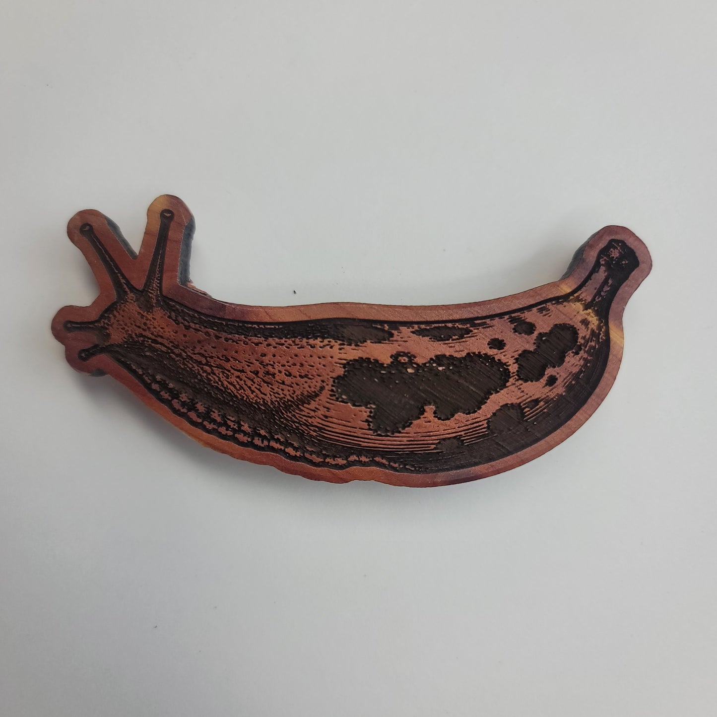Banana Slug Magnet