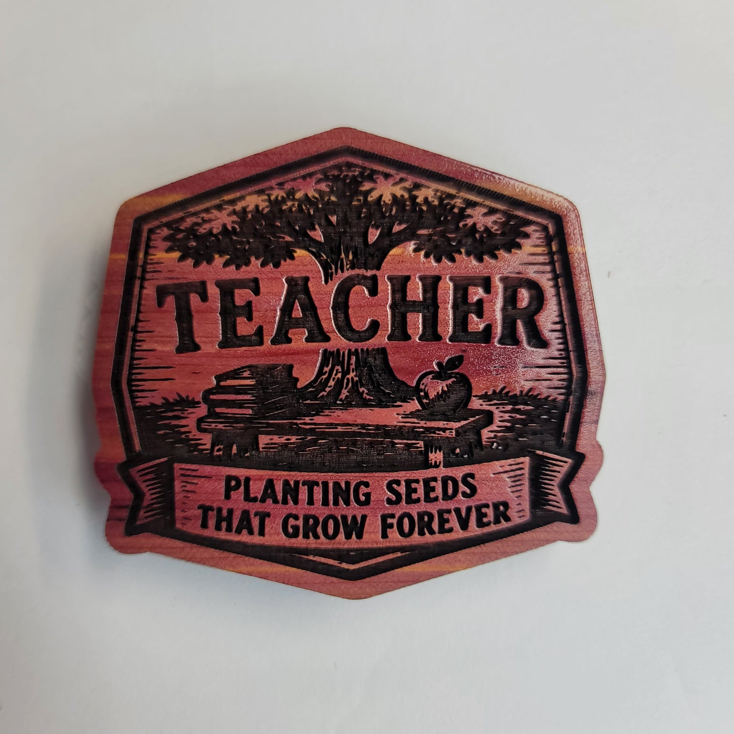 TEACHER planting seeds Magnet