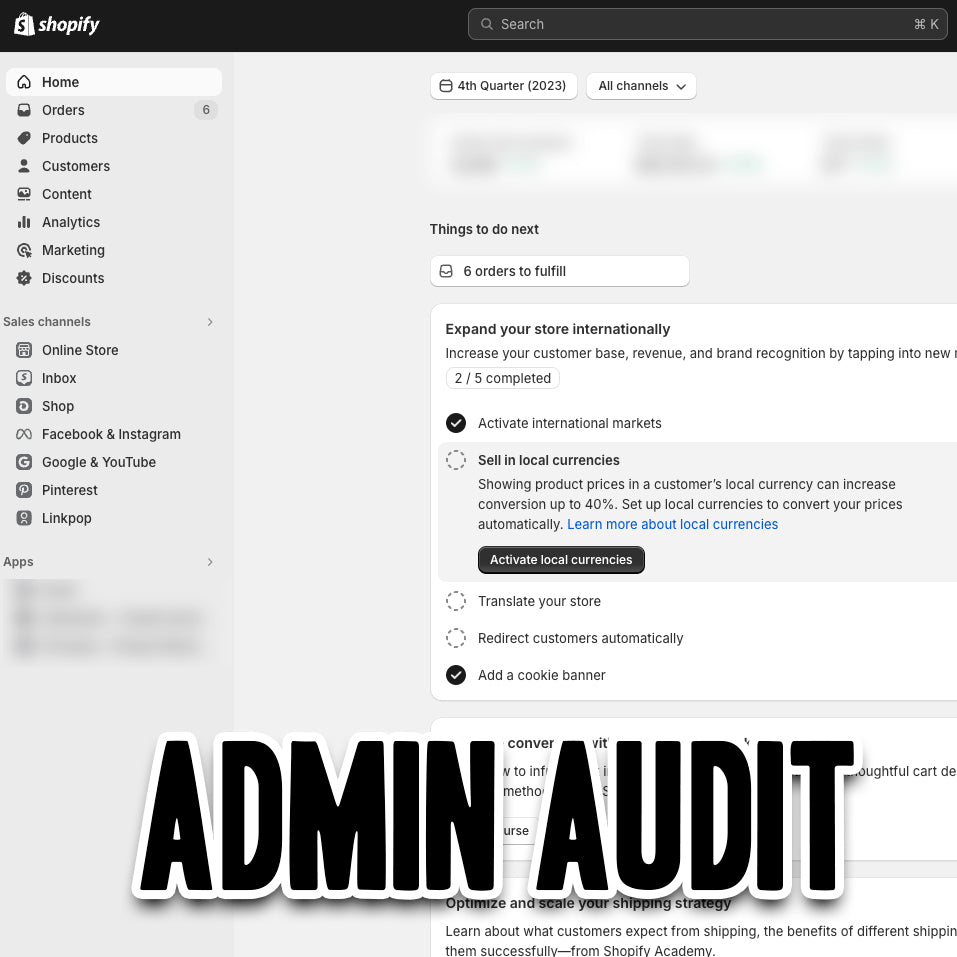 Shopify backend audit